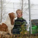 Boy with Basset Hound Puppy